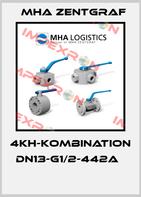 4KH-Kombination DN13-G1/2-442A	  Mha Zentgraf