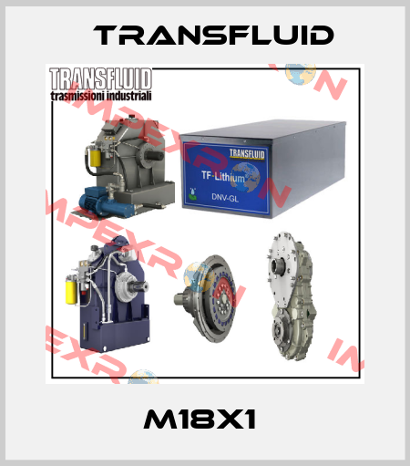 M18X1  Transfluid