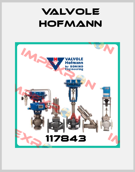 117843  Valvole Hofmann