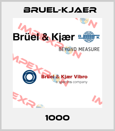 1000 Bruel-Kjaer
