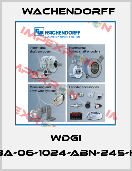 WDGI 58A-06-1024-ABN-245-K3 Wachendorff