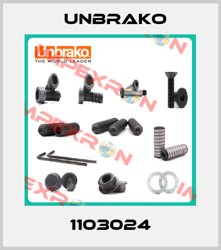 1103024 Unbrako