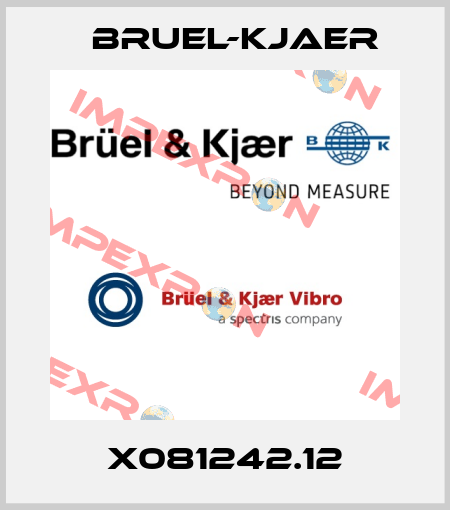 X081242.12 Bruel-Kjaer