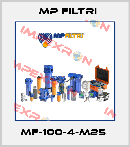 MF-100-4-M25  MP Filtri