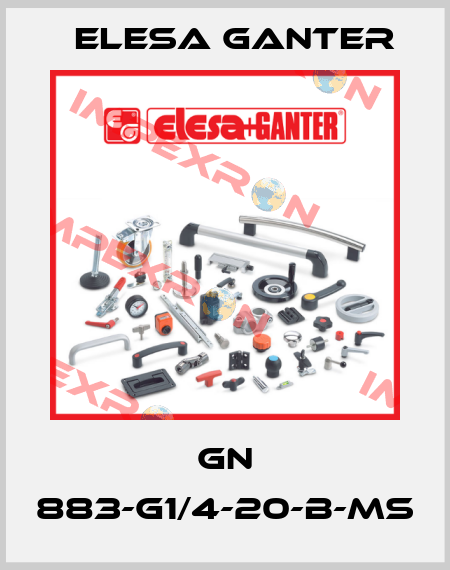 GN 883-G1/4-20-B-MS Elesa Ganter