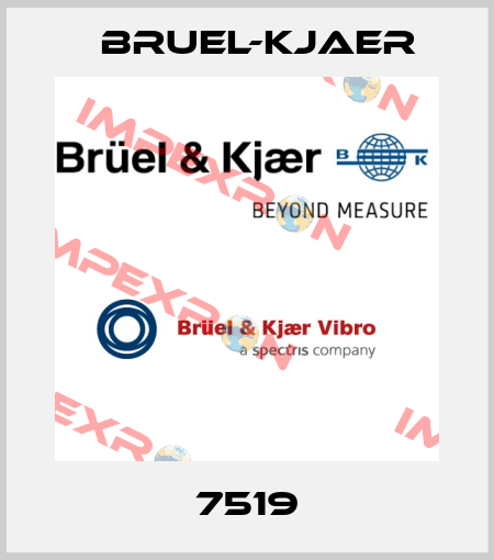 7519 Bruel-Kjaer