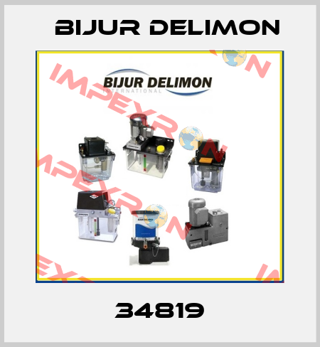 34819 Bijur Delimon