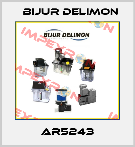 AR5243 Bijur Delimon