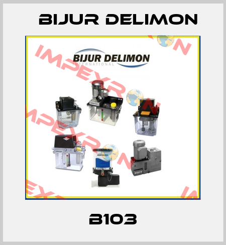 B103 Bijur Delimon