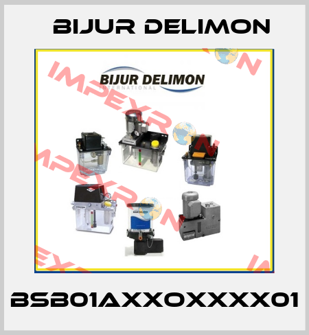 BSB01AXXOXXXX01 Bijur Delimon