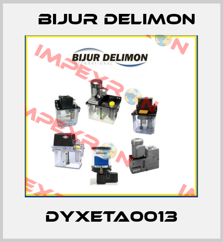 DYXETA0013 Bijur Delimon