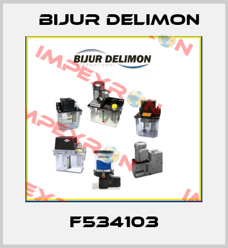 F534103 Bijur Delimon