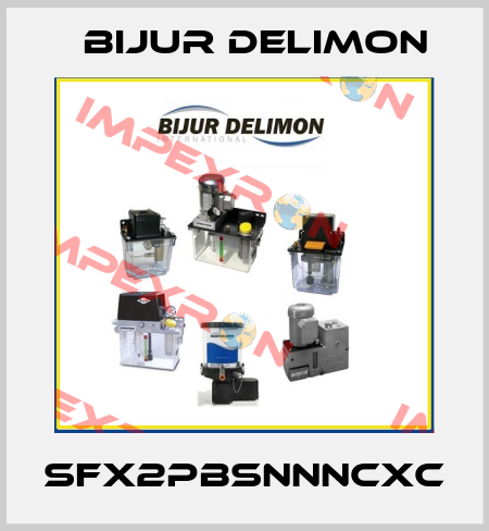 SFX2PBSNNNCXC Bijur Delimon
