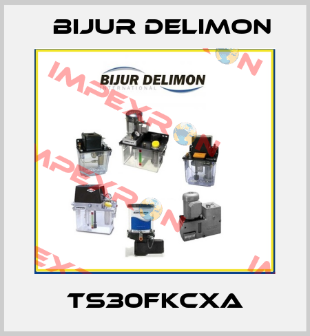 TS30FKCXA Bijur Delimon