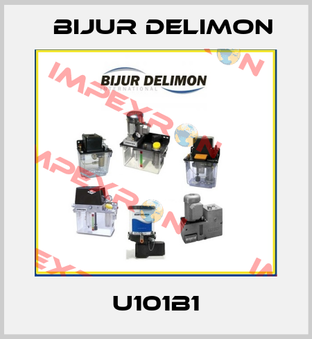 U101B1 Bijur Delimon