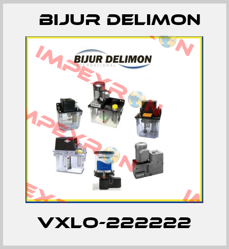 VXLO-222222 Bijur Delimon