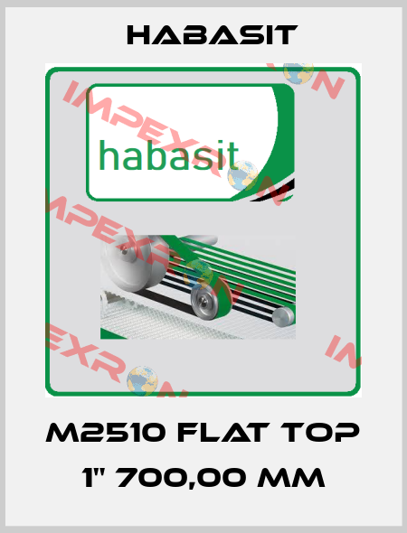 M2510 Flat Top 1" 700,00 mm Habasit