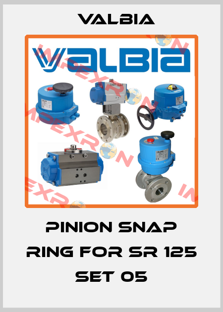 PINION SNAP RING for SR 125 SET 05 Valbia