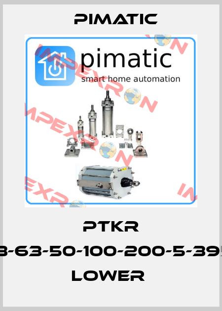 PTKR 123-63-50-100-200-5-3959 LOWER  Pimatic
