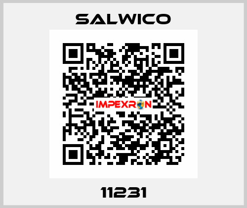 11231 Salwico