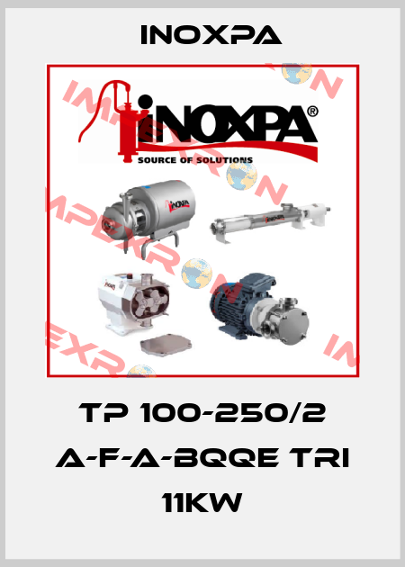 TP 100-250/2 A-F-A-BQQE TRI 11KW Inoxpa