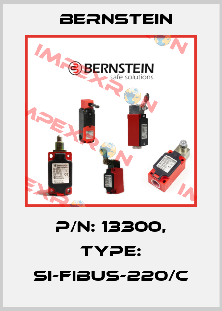 P/N: 13300, Type: SI-FIBUS-220/C Bernstein