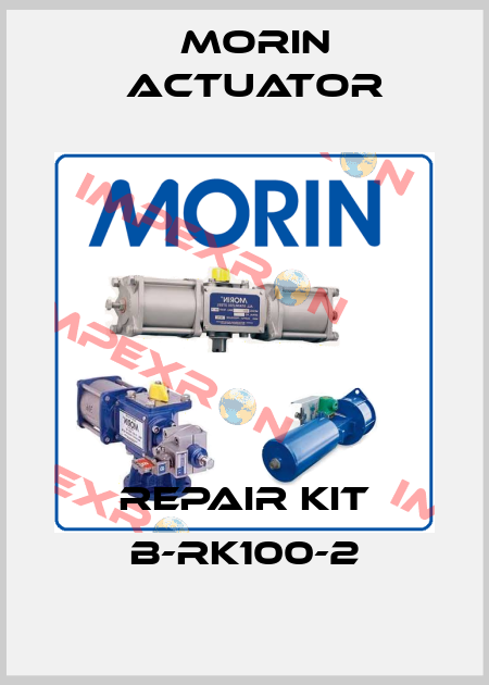Repair Kit B-RK100-2 Morin Actuator