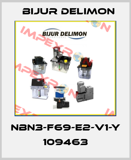 NBN3-F69-E2-V1-Y 109463 Bijur Delimon