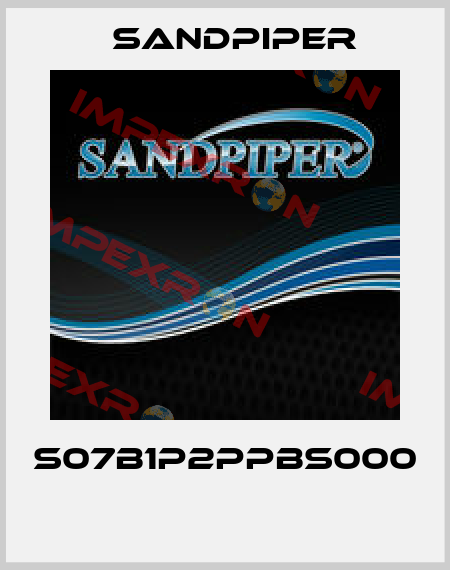 S07B1P2PPBS000  Sandpiper
