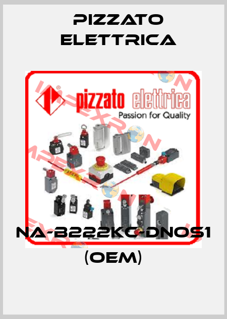 NA-B222KC-DNOS1 (OEM) Pizzato Elettrica