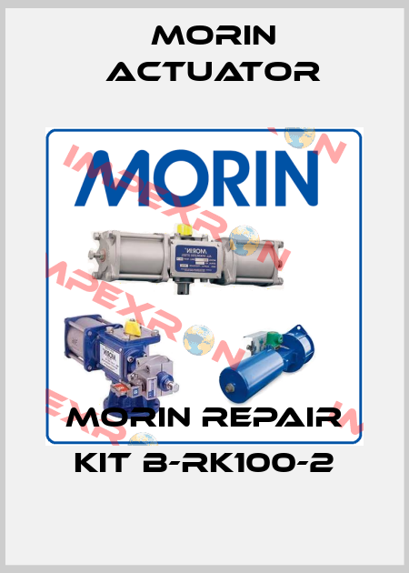 Morin Repair Kit B-RK100-2 Morin Actuator