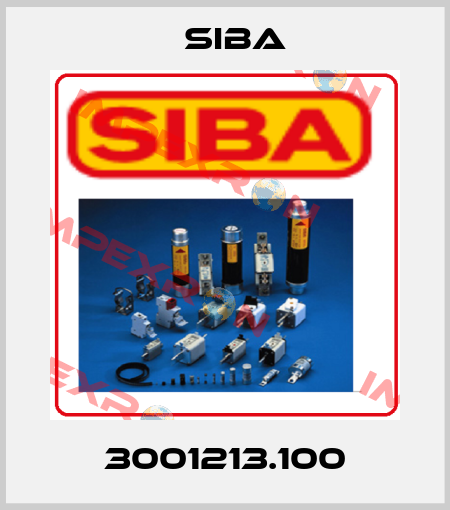 3001213.100 Siba