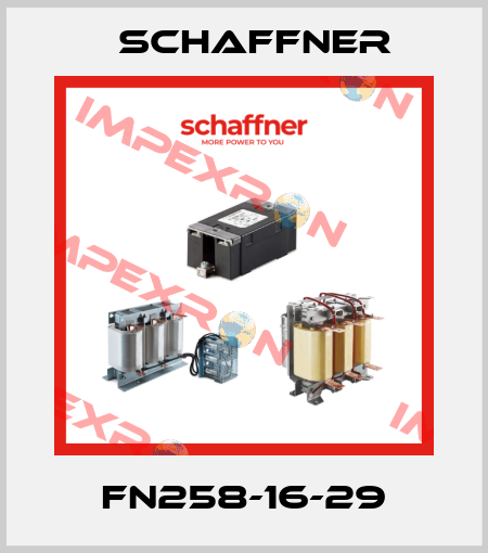FN258-16-29 Schaffner