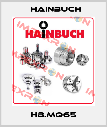 HB.MQ65 Hainbuch