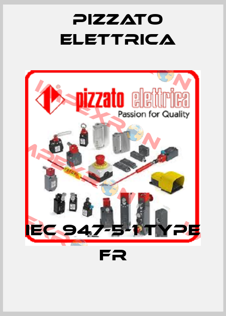 IEC 947-5-1 TYPE FR Pizzato Elettrica