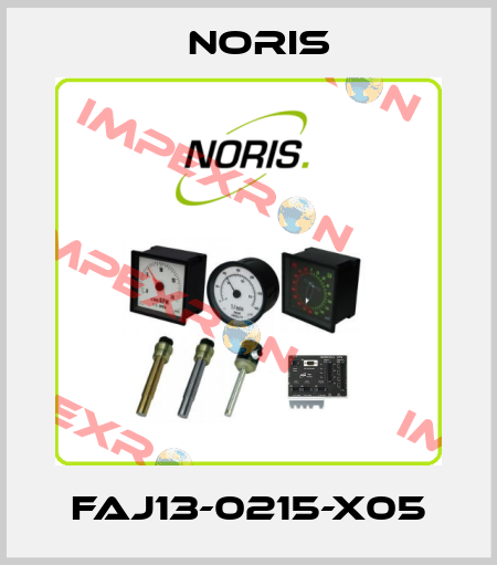 FAJ13-0215-X05 Noris