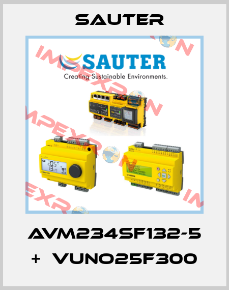AVM234SF132-5 +  VUNO25F300 Sauter