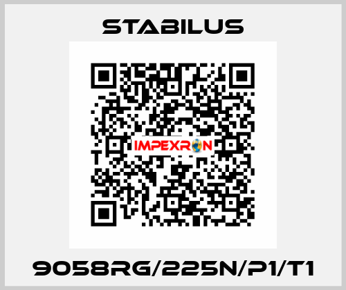 9058RG/225N/P1/T1 Stabilus