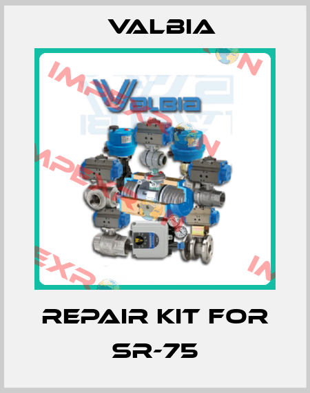 Repair Kit for SR-75 Valbia