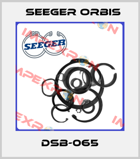 DSB-065 Seeger Orbis