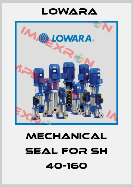 mechanical seal for SH 40-160 Lowara