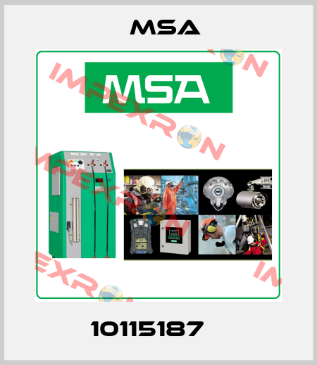 10115187    Msa