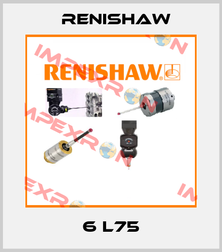 6 L75 Renishaw