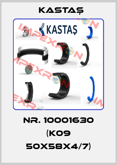 Nr. 10001630 (K09 50X58X4/7) Kastaş