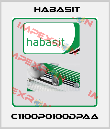 C1100P0100DPAA Habasit