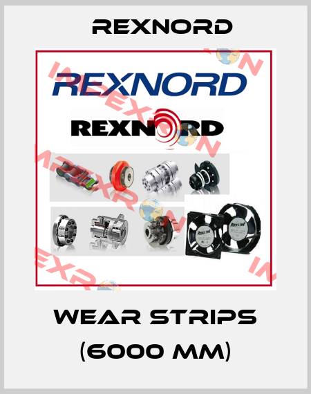 wear strips (6000 mm) Rexnord