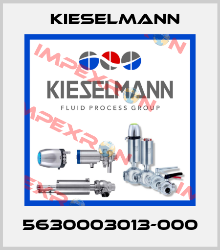 5630003013-000 Kieselmann