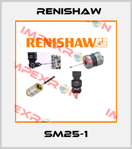sm25-1 Renishaw