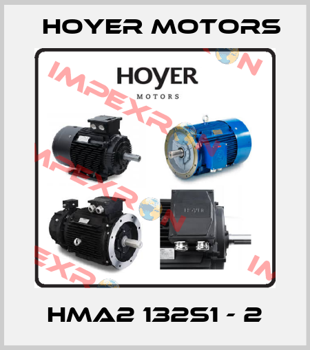 HMA2 132S1 - 2 Hoyer Motors