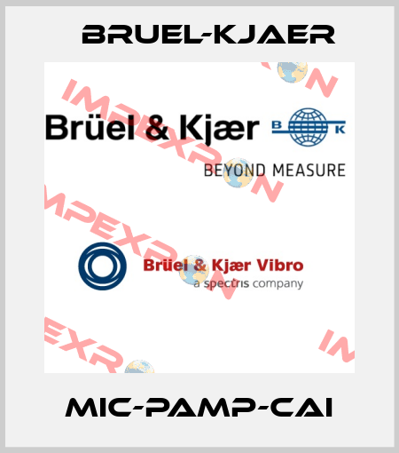 MIC-PAMP-CAI Bruel-Kjaer